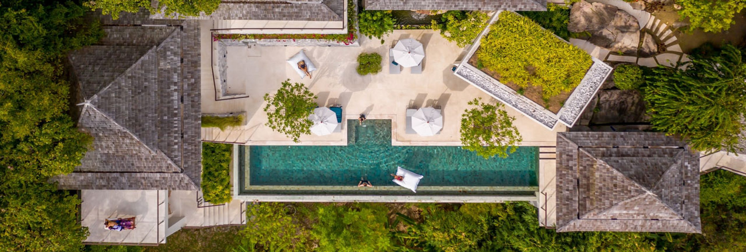 Zendacha villa infinity pool and tropical view